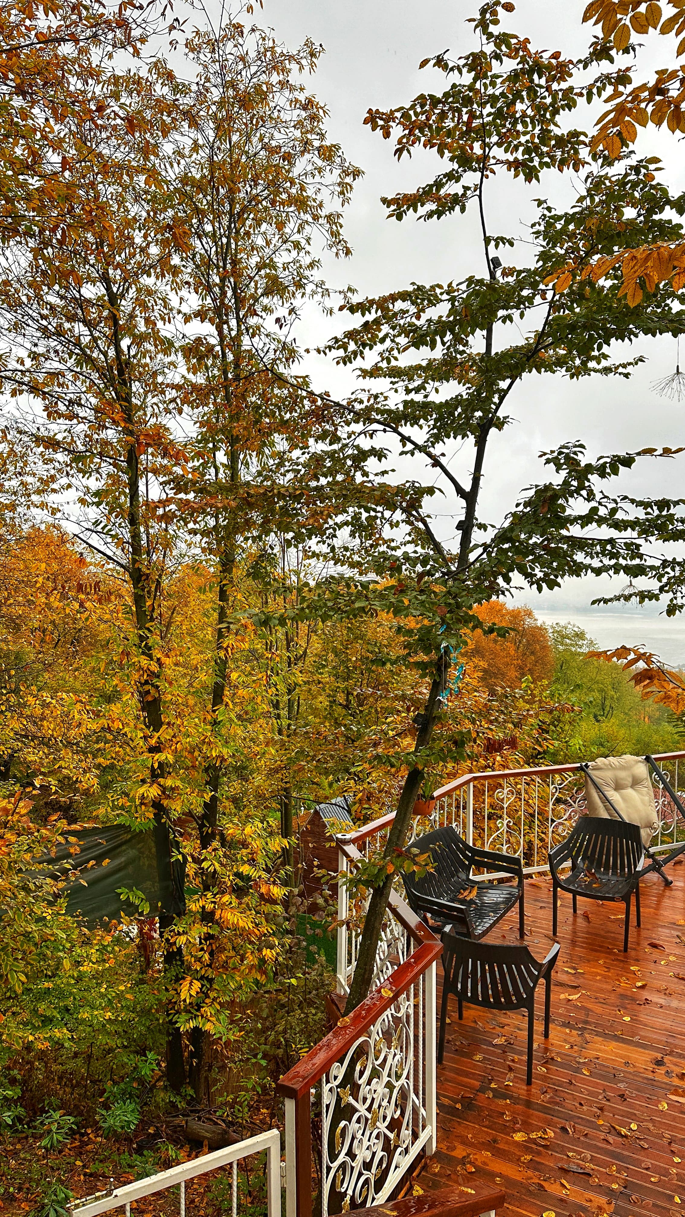 Fotoğraf 1